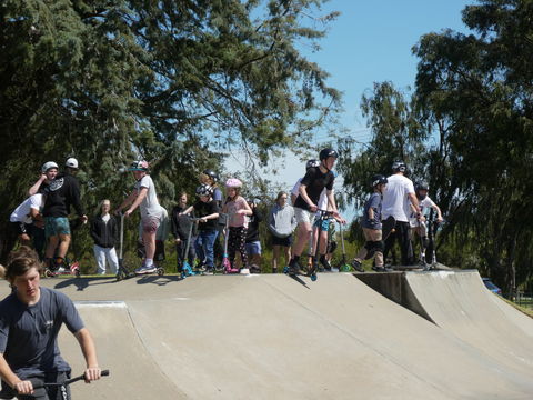 Millicent Skatepark - Find Attractions 2