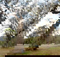 Moolarben Picnic Area - Find Attractions