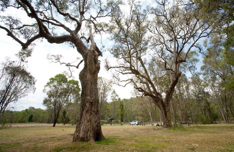 Moolarben Picnic Area - Find Attractions 0