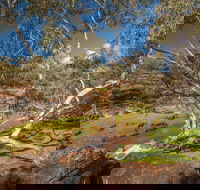 Mount Grenfell Historic Site - Find Attractions