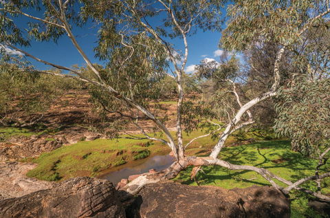 Mount Grenfell Historic Site - Find Attractions 0