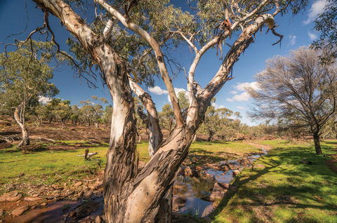 Mount Grenfell Historic Site - Find Attractions 2