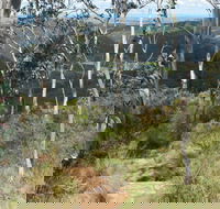 Mount Towac Walk - Find Attractions