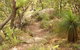 Mount Carnarvon Walking Track - thumb 0