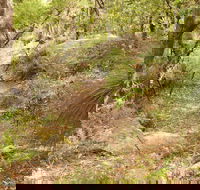 Mount Carnarvon Walking Track - Find Attractions