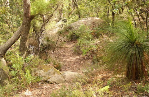 Mount Carnarvon Walking Track - Find Attractions 0