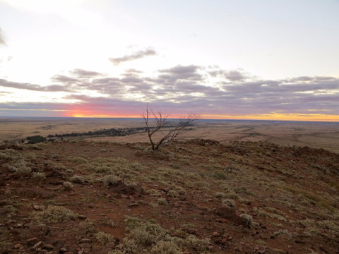 Mundi Mundi Plains - Find Attractions 0
