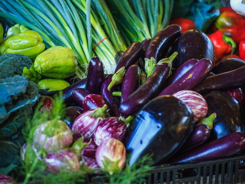 Murwillumbah Farmers' Market - Find Attractions 1