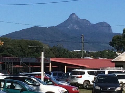 Murwillumbah Farmers' Market - Find Attractions 2