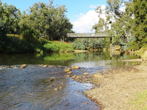 Namoi River And Woolshed Reserve - Find Attractions 0
