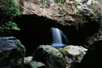Natural Bridge Circuit Springbrook National Park