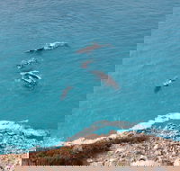 Nullarbor National Park - Find Attractions