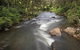 Nymboi-Binderay National Park - thumb 0