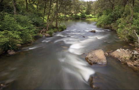 Nymboi-Binderay National Park - Find Attractions 0