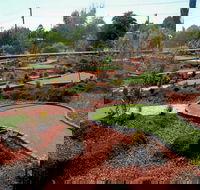 Orange Mini Golf - Find Attractions