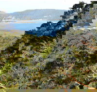 Patonga to Pearl Beach Walking Track - Find Attractions