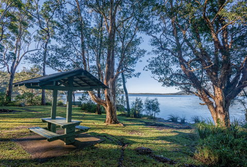 Queens Lake Picnic Area - Find Attractions 0