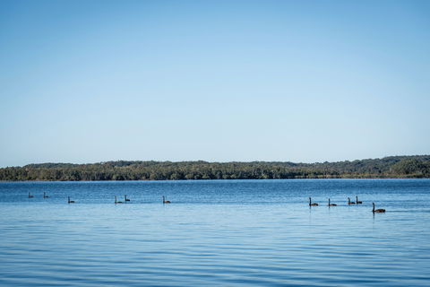 Queens Lake Picnic Area - Find Attractions 1