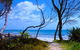 Shark Bay - thumb 0