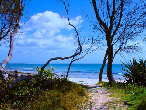 Shark Bay - Find Attractions 0
