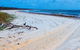 Shark Bay - thumb 1