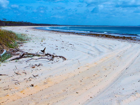Shark Bay - Find Attractions 1