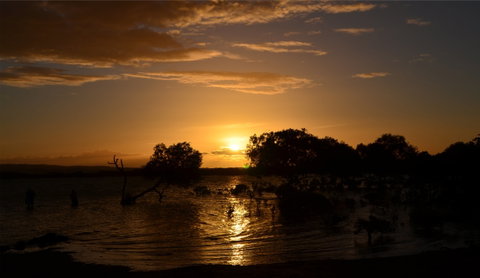 Southend Curtis Island - Find Attractions 0