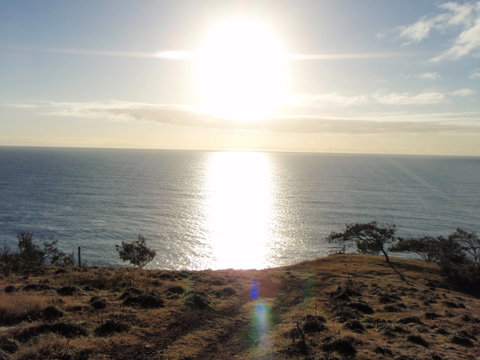 Southend Curtis Island - Find Attractions 1