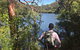 Sphinx Memorial To Bobbin Head Loop Track - thumb 0