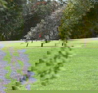 Springwood Country Club - Find Attractions