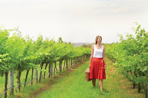 Swan Valley - Find Attractions 0