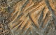 Terramungamine Rock Grooves - thumb 1