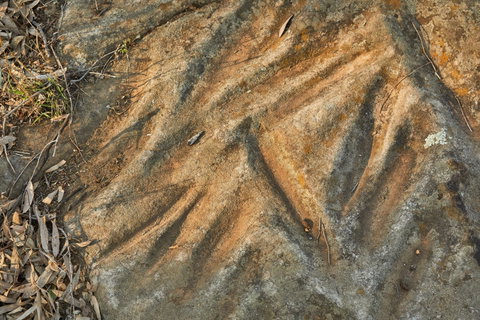 Terramungamine Rock Grooves - Find Attractions 1
