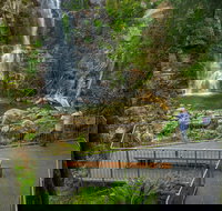 The Falls Walk Budderoo National Park - Find Attractions