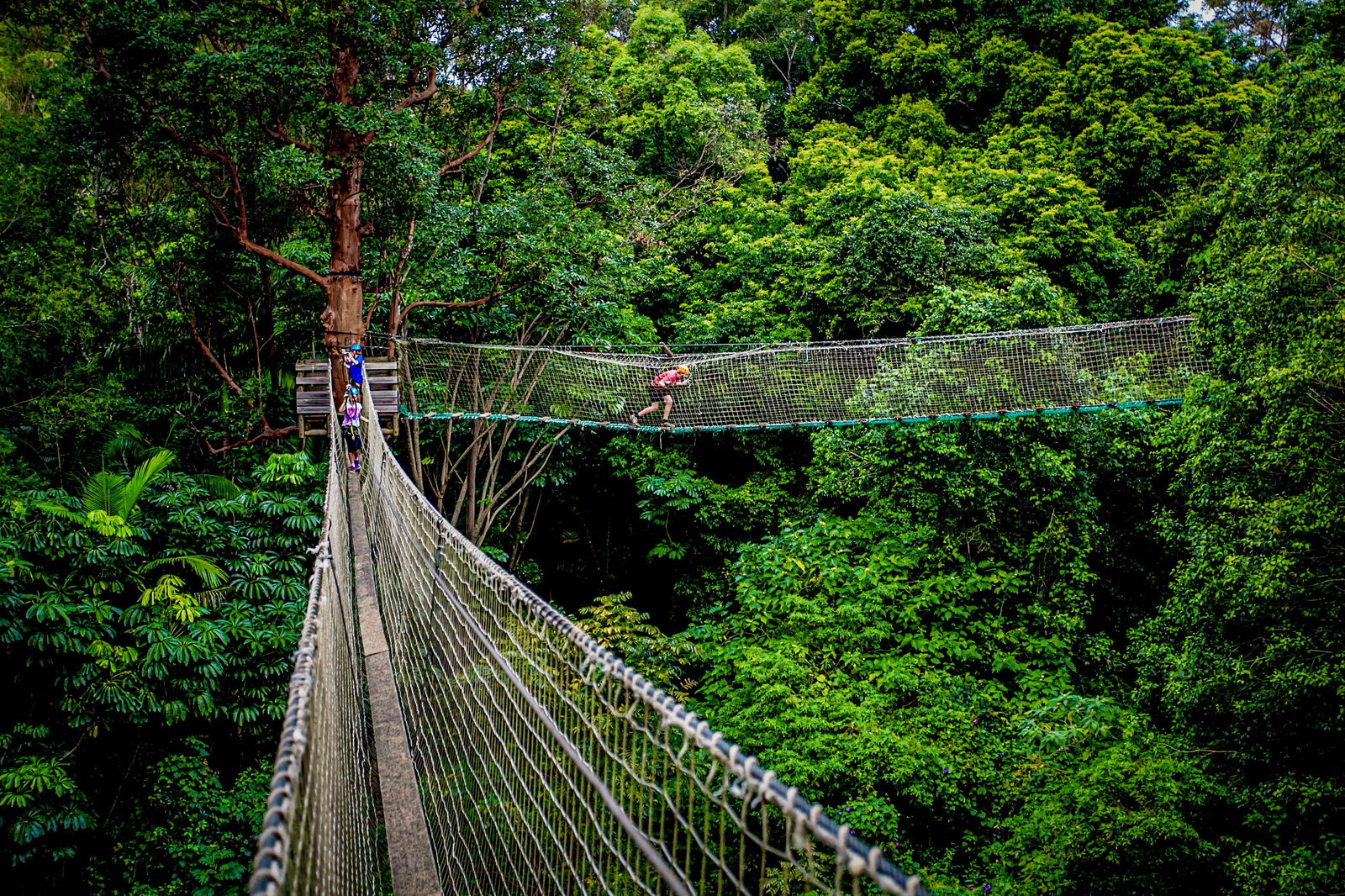  Find Attractions