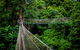 Thunderbird Park ® - Tamborine Mountain, Gold Coast Region - thumb 0