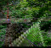 Thunderbird Park  - Tamborine Mountain Gold Coast Region - Find Attractions