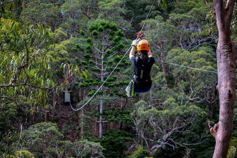 Thunderbird Park ® - Tamborine Mountain, Gold Coast Region - Find Attractions 2