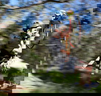 TreeTops Western Sydney - Find Attractions