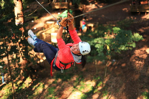 Trees Adventure - Glen Harrow Park - Find Attractions 0