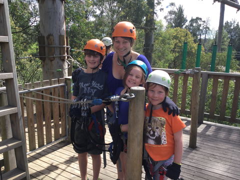 Trees Adventure - Glen Harrow Park - Find Attractions 1