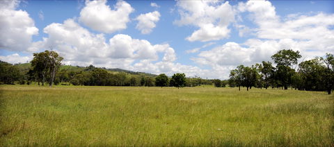 Ubobo - Find Attractions 0