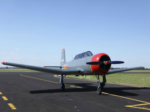 Warrior Warbirds - Open - Find Attractions 0