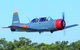 Warrior Warbirds - Open - thumb 1