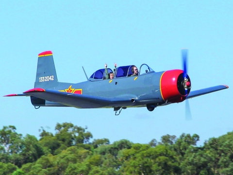 Warrior Warbirds - Open - Find Attractions 1