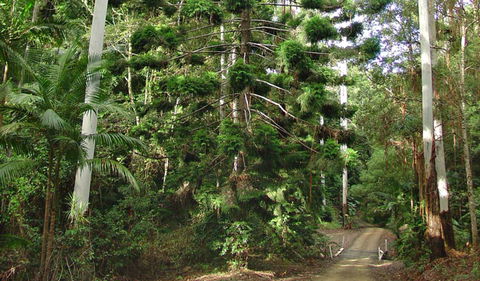 Way Way Creek Road Drive - Find Attractions 0