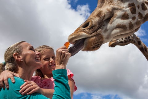 Werribee Open Range Zoo - Find Attractions 2