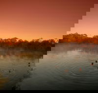Witjira National Park - Find Attractions