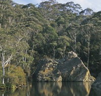 Woodford