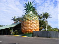 Woombye